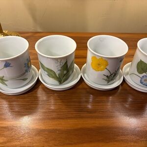 Small planters with Saucers